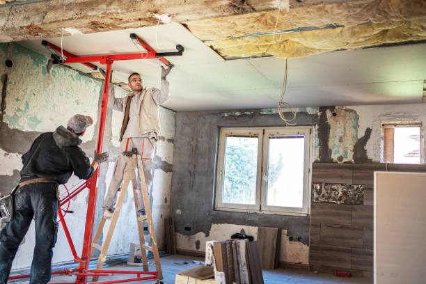 Best Cellulose Insulation in Dianapolis, IN