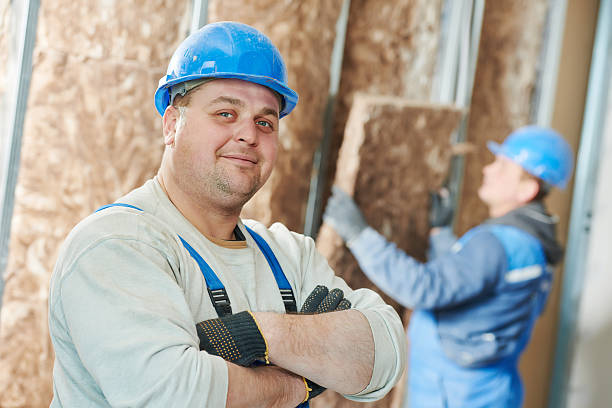Best DIY Insulation Kits and Guidance in Dianapolis, IN