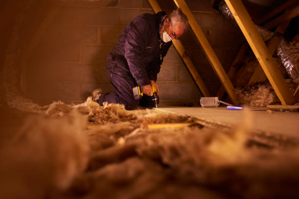 Best Geographic-Specific Insulation Services in Dianapolis, IN